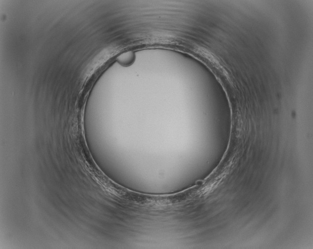 X0000067330978200604131656