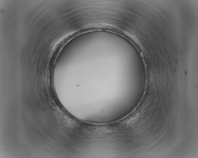 X0000067330979200604131656