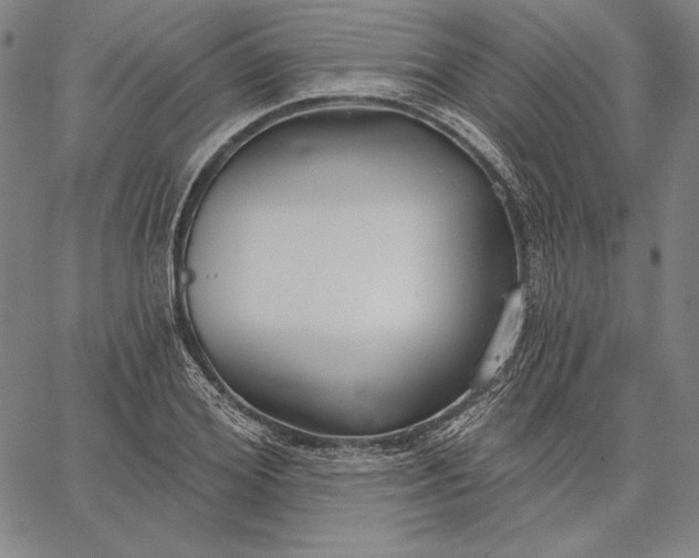 X0000067330980200604131656