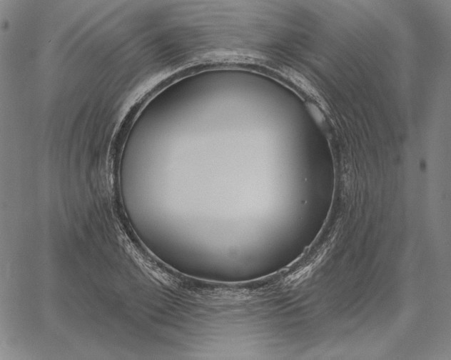 X0000067330981200604131656