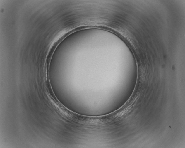 X0000067330982200604131656