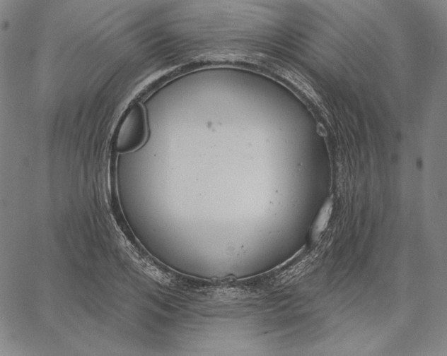 X0000067330984200604131656