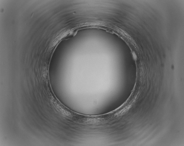 X0000067330985200604131656