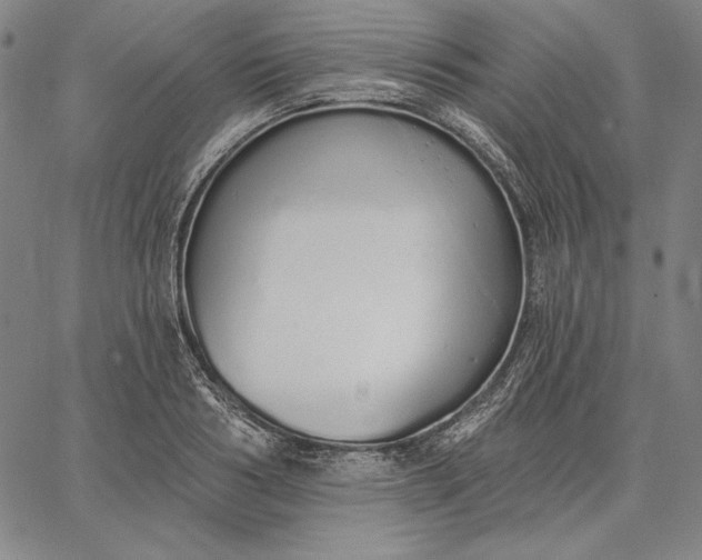 X0000067330986200604131656