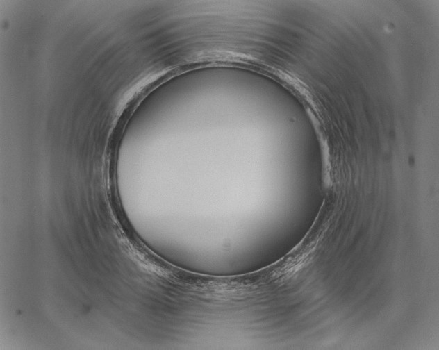 X0000067330987200604131656