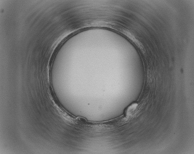 X0000067330988200604131656