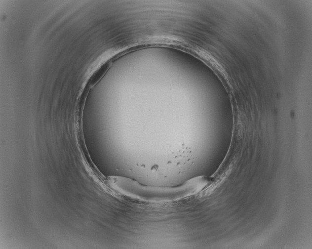 X0000067330989200604131656