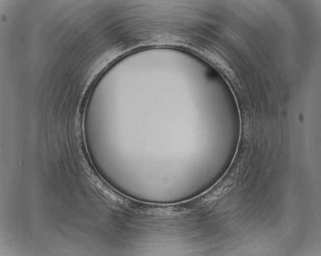 X0000067330990200604131656