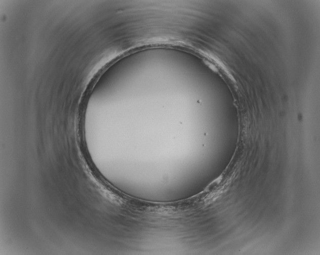 X0000067330991200604131656