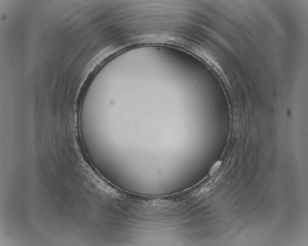 X0000067330992200604131656