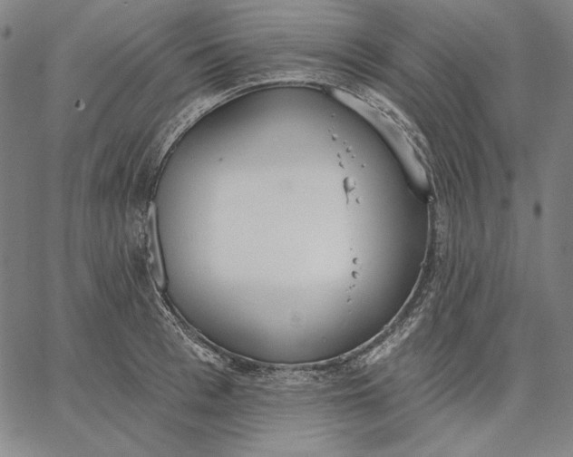 X0000067330993200604131656