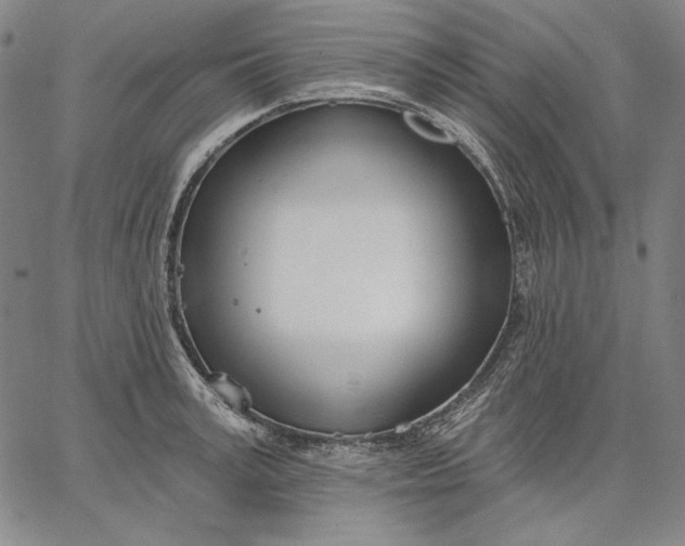 X0000067330995200604131656