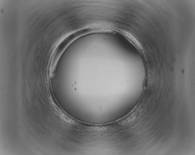 X0000067330996200604131656