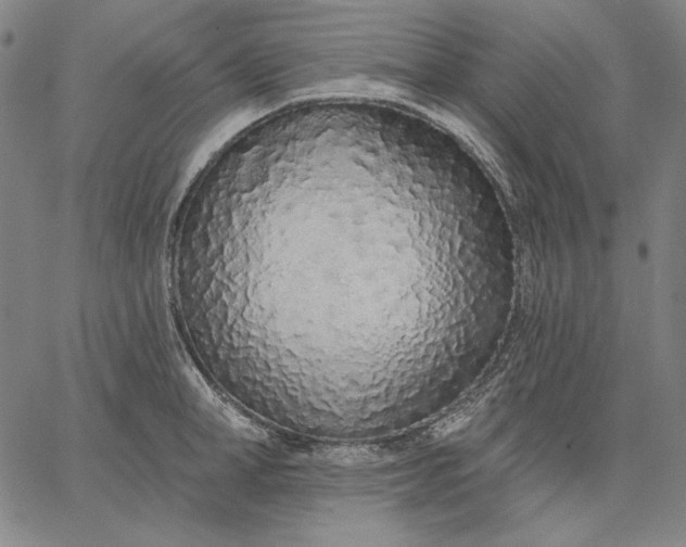 X0000067330998200604131656