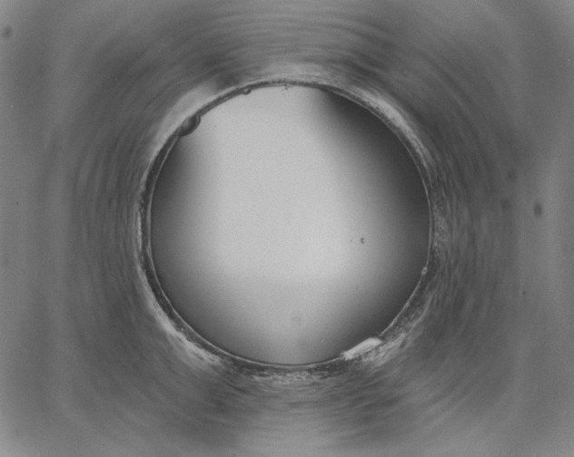 X0000067330999200604131656