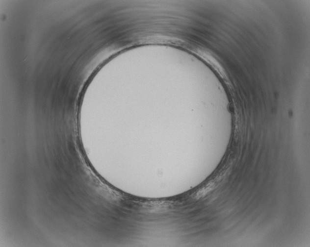 X0000067331000200604131656