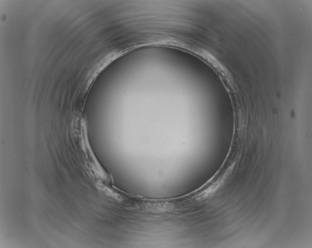 X0000067331001200604131656