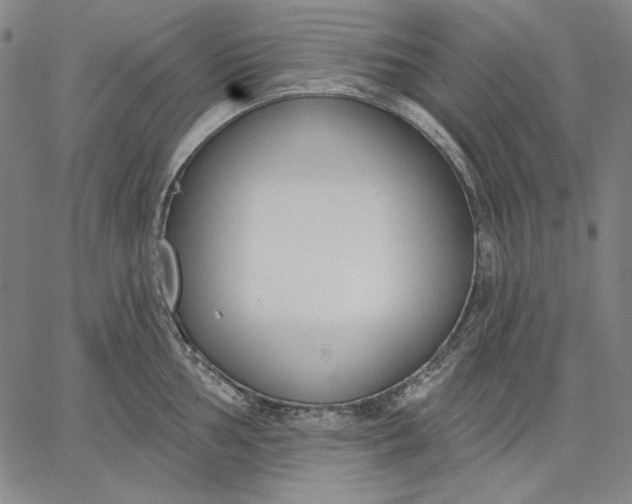 X0000067331002200604131656