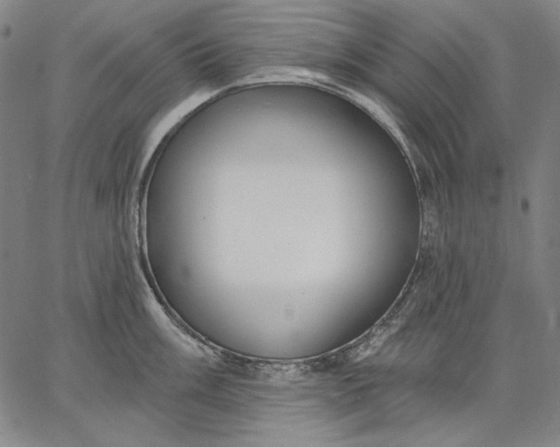 X0000067331003200604131656