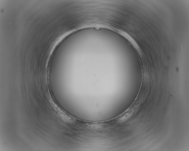 X0000067331004200604131656