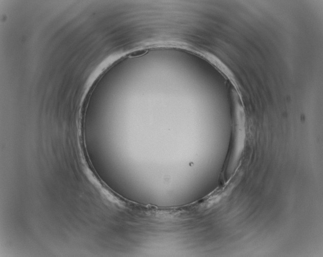 X0000067331005200604131656