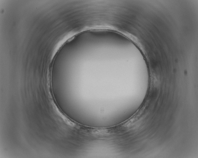 X0000067331006200604131656