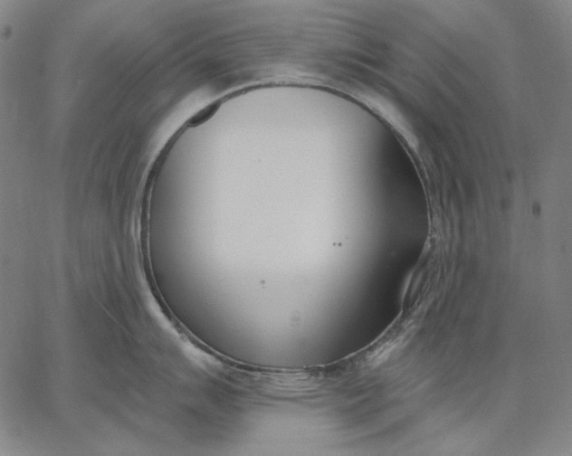 X0000067331007200604131656