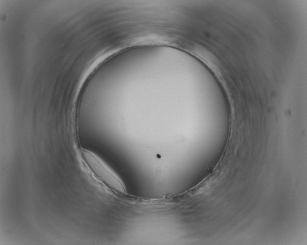 X0000067331008200604131656