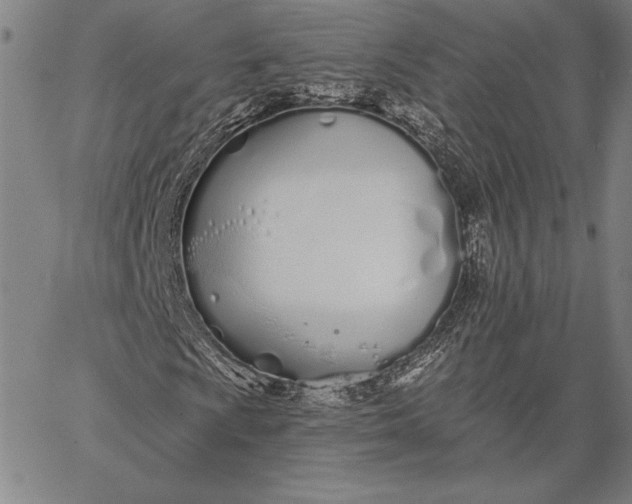 X0000067331009200604131655