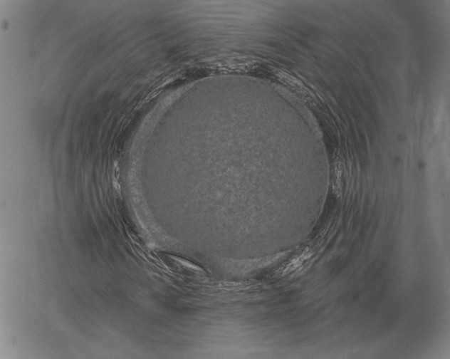 X0000067331010200604131655