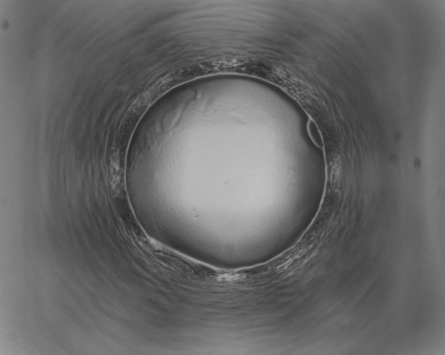 X0000067331011200604131655