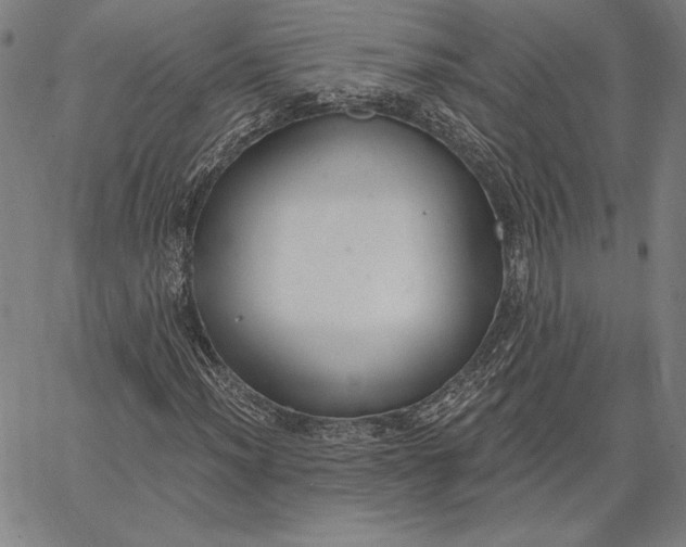 X0000067331012200604131655