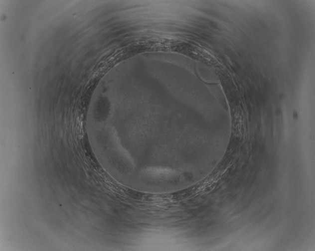 X0000067331013200604131655