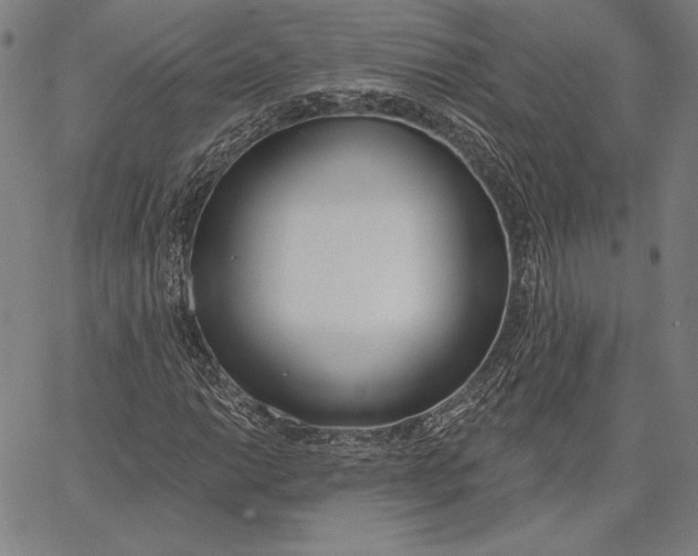 X0000067331014200604131655