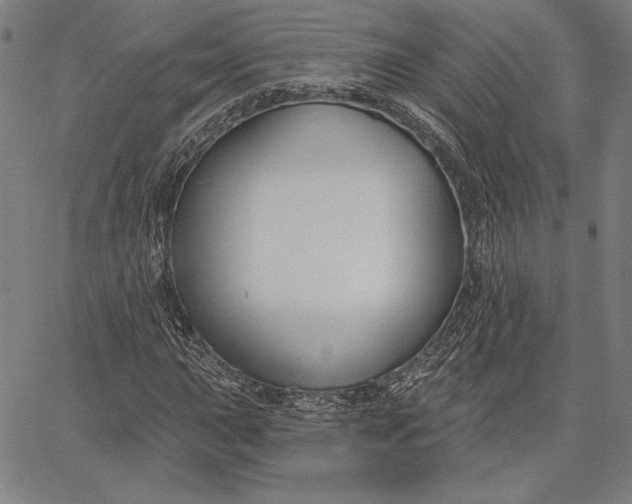 X0000067331015200604131655