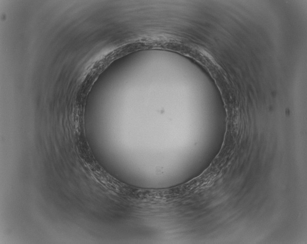 X0000067331016200604131655