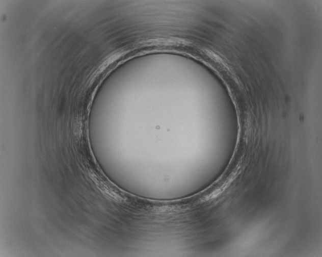 X0000067331017200604131655