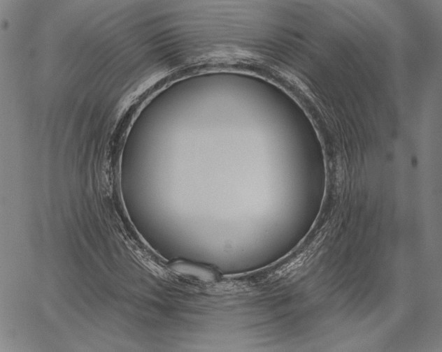 X0000067331018200604131655