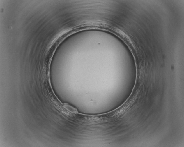 X0000067331019200604131655