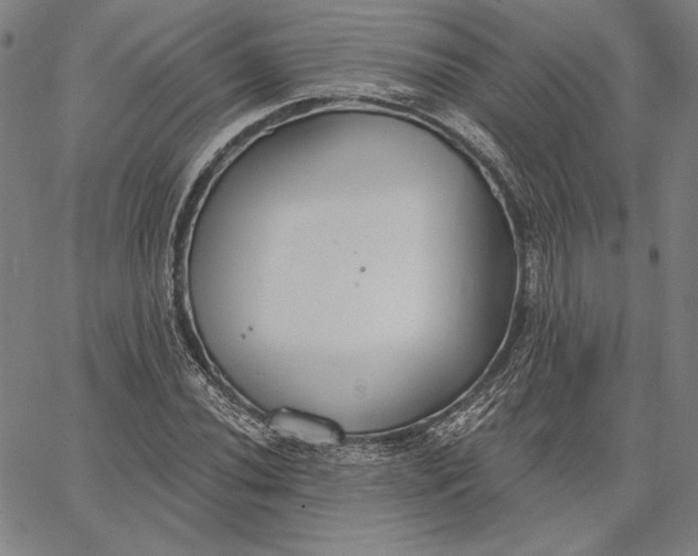 X0000067331020200604131655