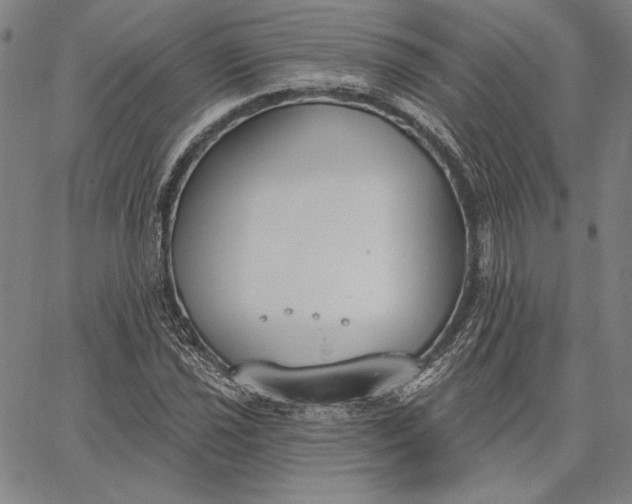 X0000067331021200604131655