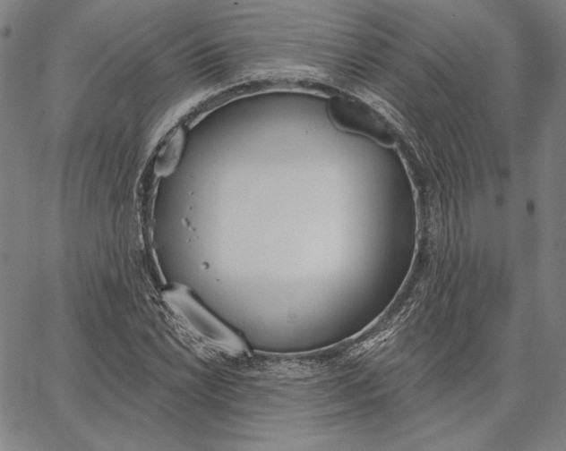 X0000067331022200604131655