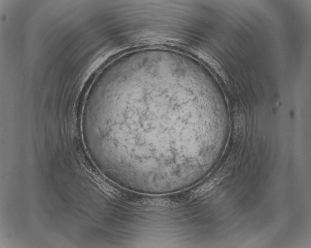 X0000067331023200604131655