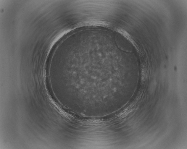 X0000067331024200604131655