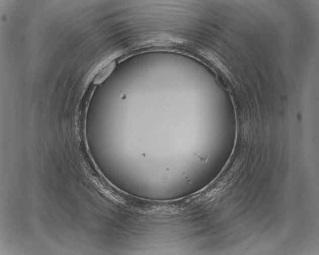 X0000067331026200604131655