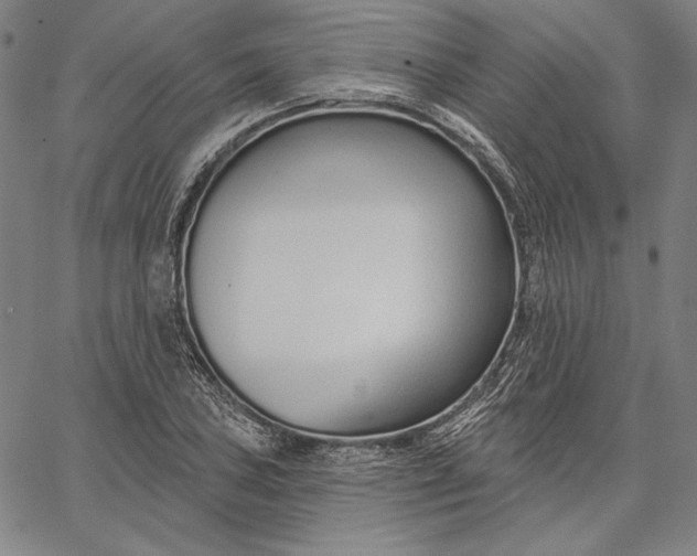 X0000067331027200604131655