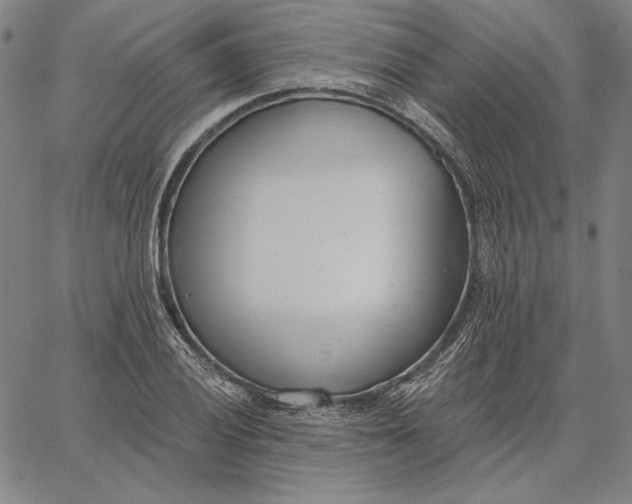 X0000067331028200604131655