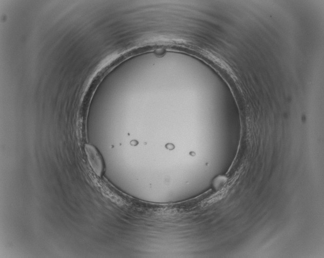 X0000067331029200604131655