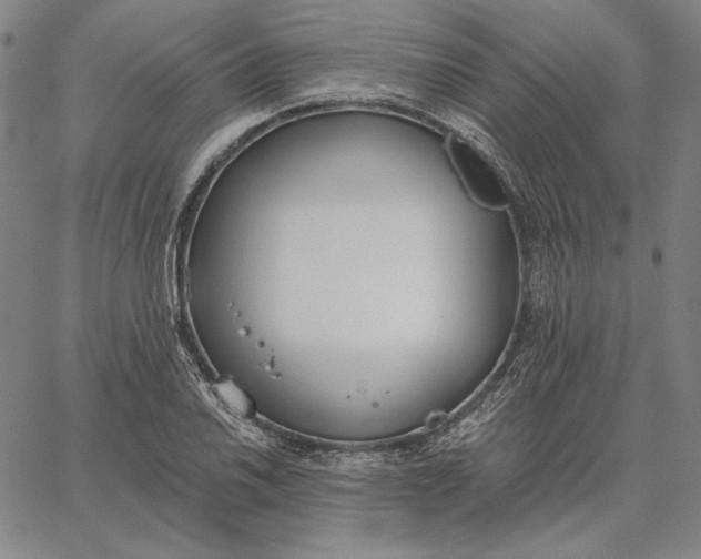 X0000067331030200604131655