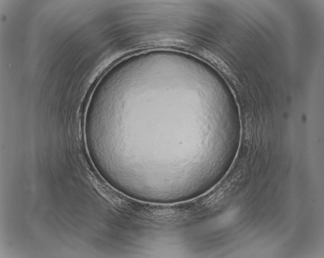 X0000067331031200604131655